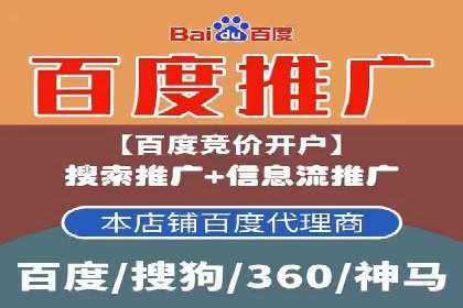 深入剖析SEM公司成功案例：数据驱动的广告策略